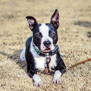 Fundraising Page: Nikita Ford